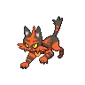 Torracat — Atual / Current