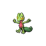 Treecko — Atual / Current