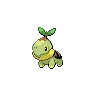 Turtwig — Gen V
