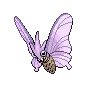 Venomoth — Atual / Current