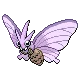 Venomoth — Gen IV