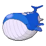 Wailord — Atual / Current