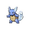 Wartortle — Gen V
