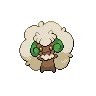 Whimsicott — Atual / Current