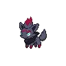Zorua — Atual / Current